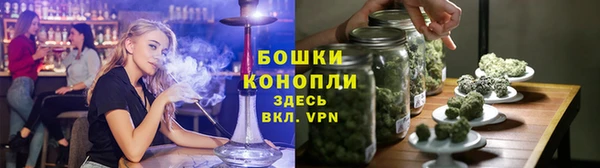 спайс Аркадак